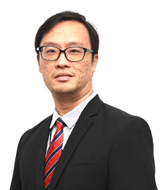 Portrait of Prof. Ir. Dr. Chan Chee Seng